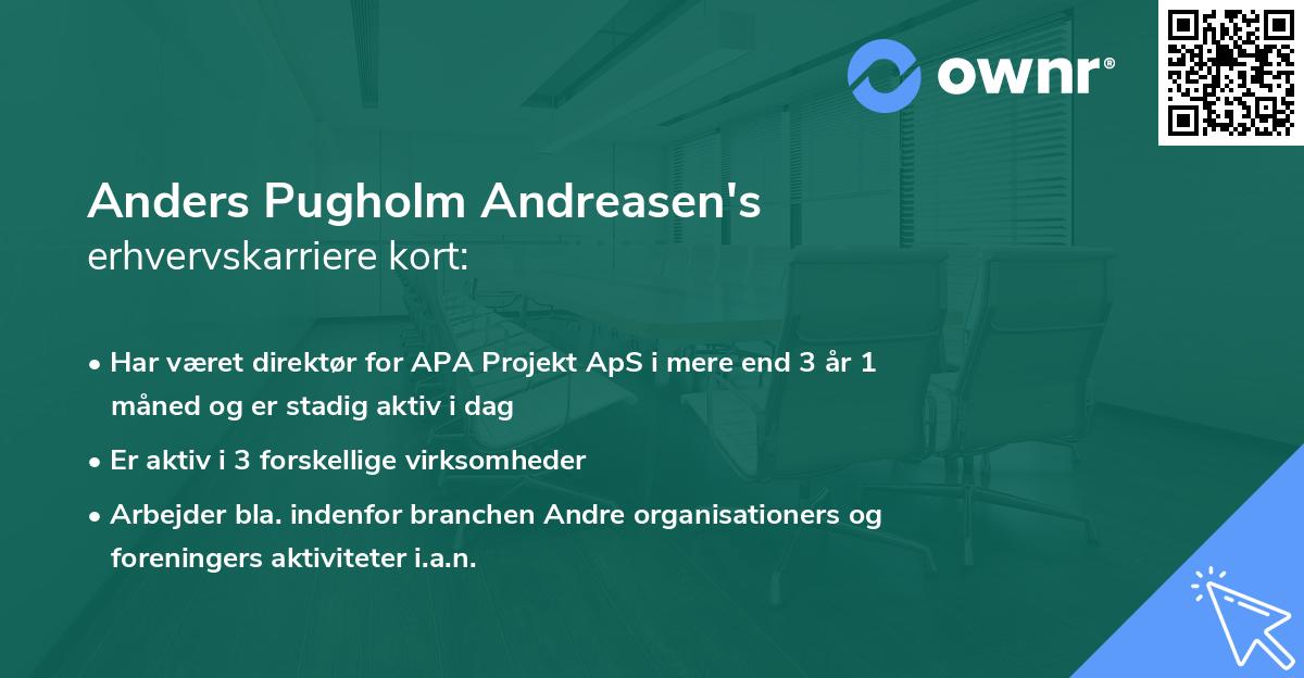 Anders Pugholm Andreasen's erhvervskarriere kort