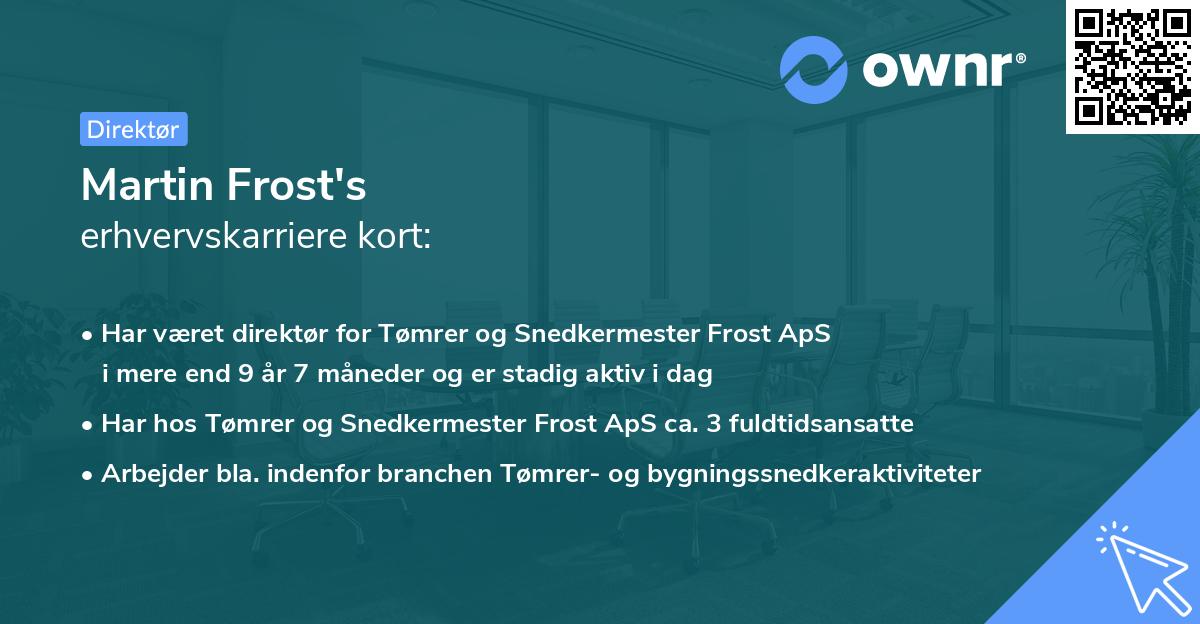 Martin Frost's erhvervskarriere kort