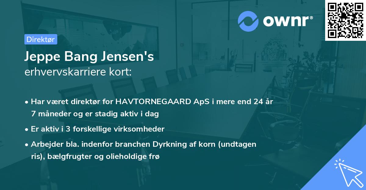 Jeppe Bang Jensen's erhvervskarriere kort