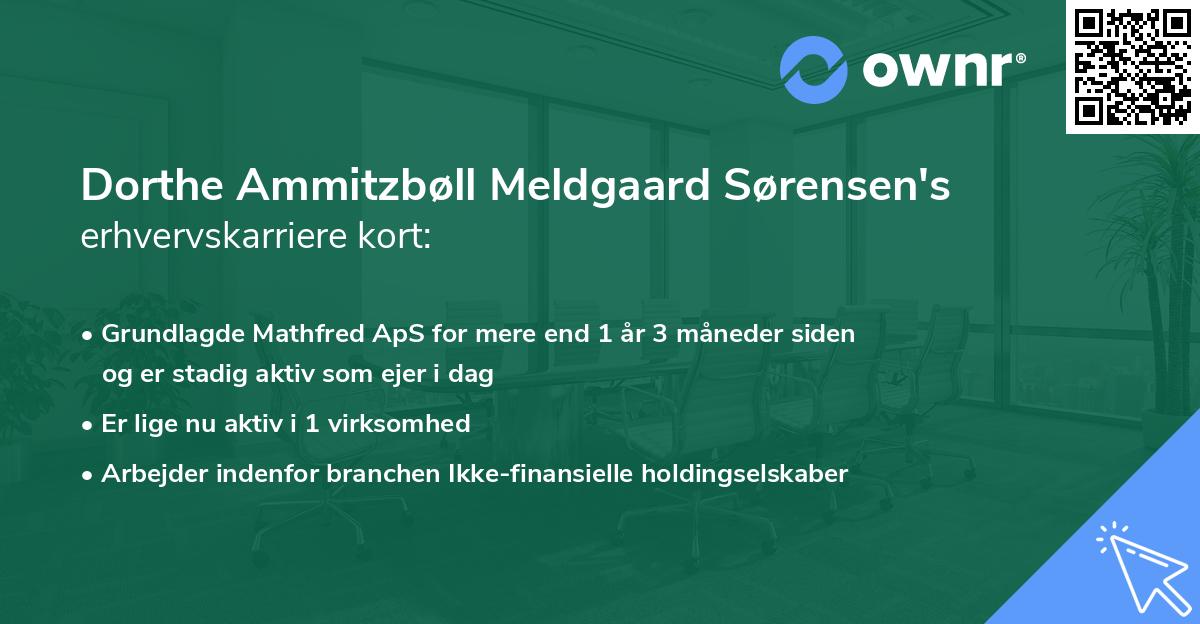 Dorthe Ammitzbøll Meldgaard Sørensen's erhvervskarriere kort