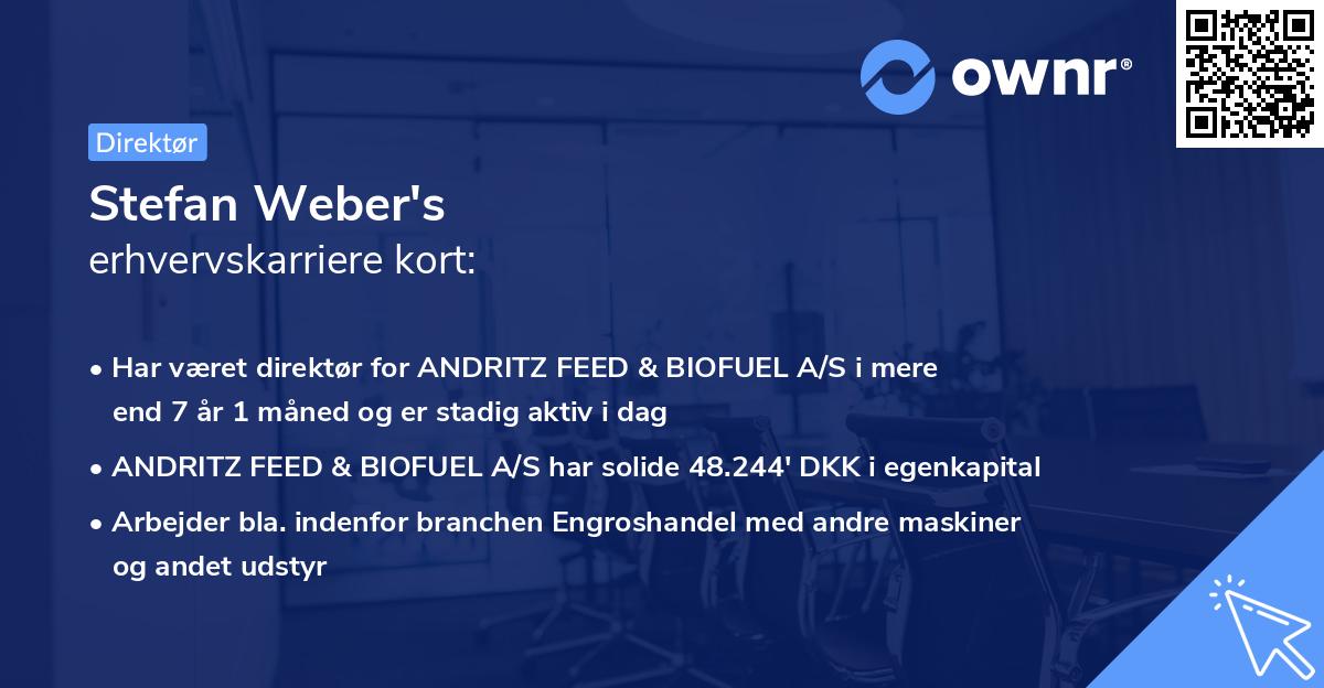 Stefan Weber's erhvervskarriere kort