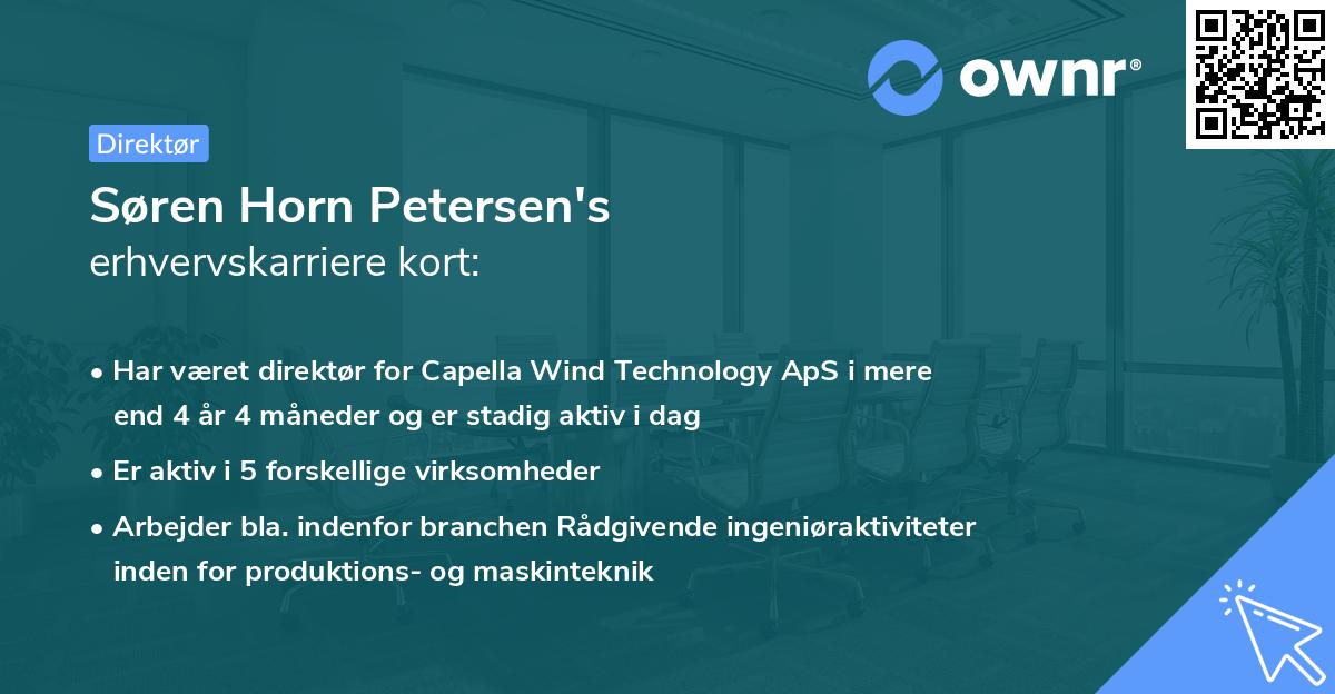 Søren Horn Petersen's erhvervskarriere kort