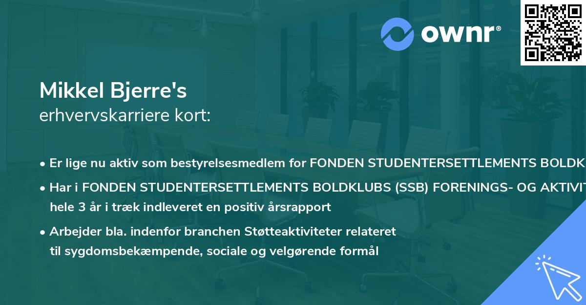 Mikkel Bjerre's erhvervskarriere kort