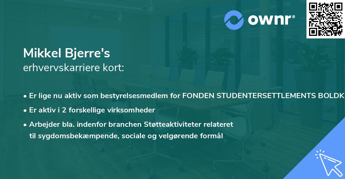 Mikkel Bjerre's erhvervskarriere kort