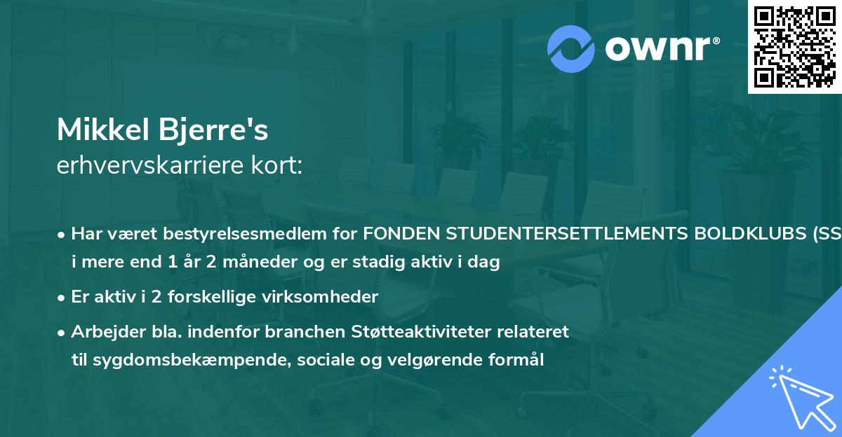 Mikkel Bjerre's erhvervskarriere kort
