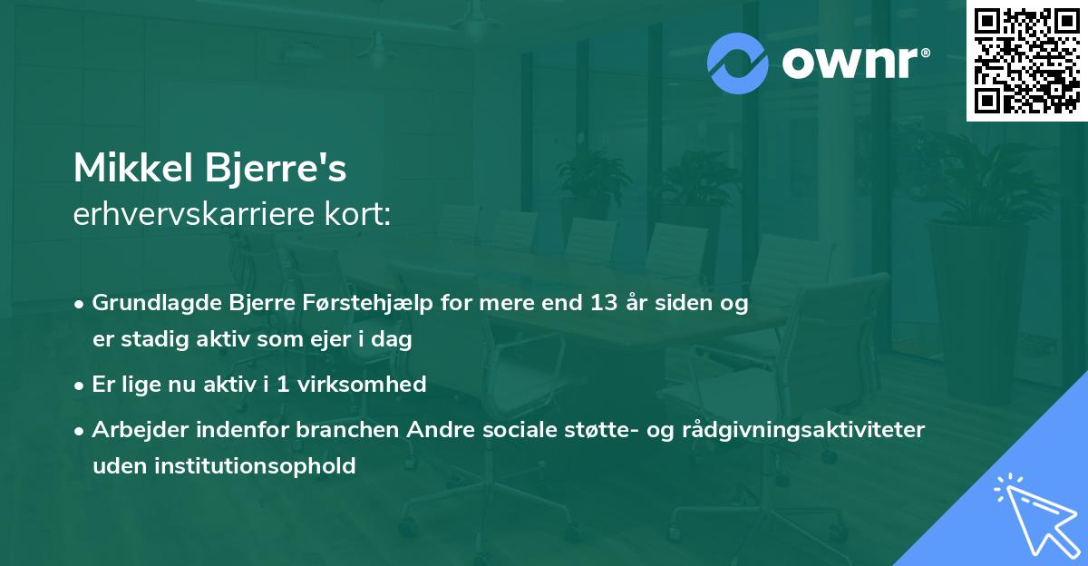 Mikkel Bjerre's erhvervskarriere kort