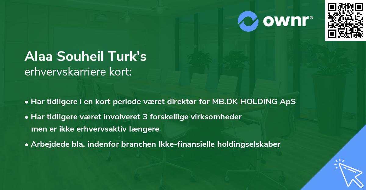 Alaa Souheil Turk's erhvervskarriere kort