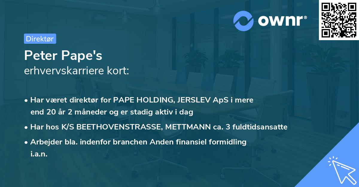 Peter Pape's erhvervskarriere kort