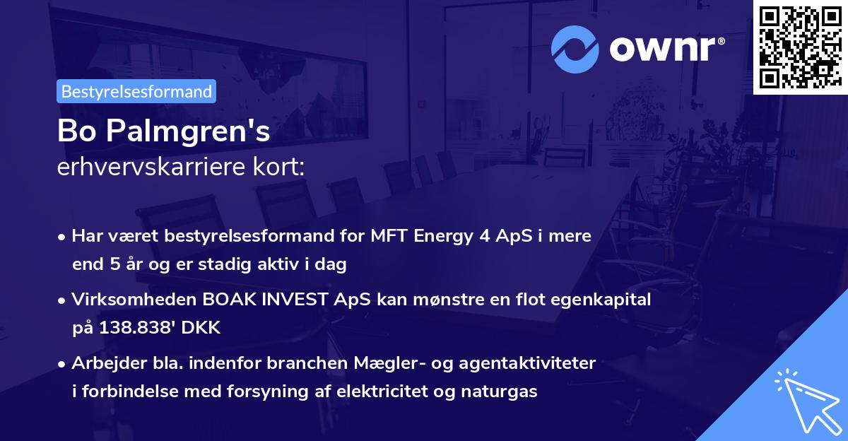 Bo Palmgren's erhvervskarriere kort