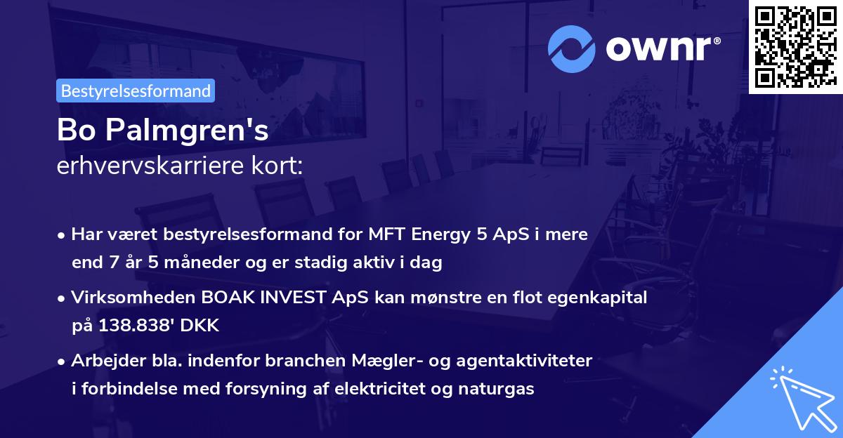 Bo Palmgren's erhvervskarriere kort