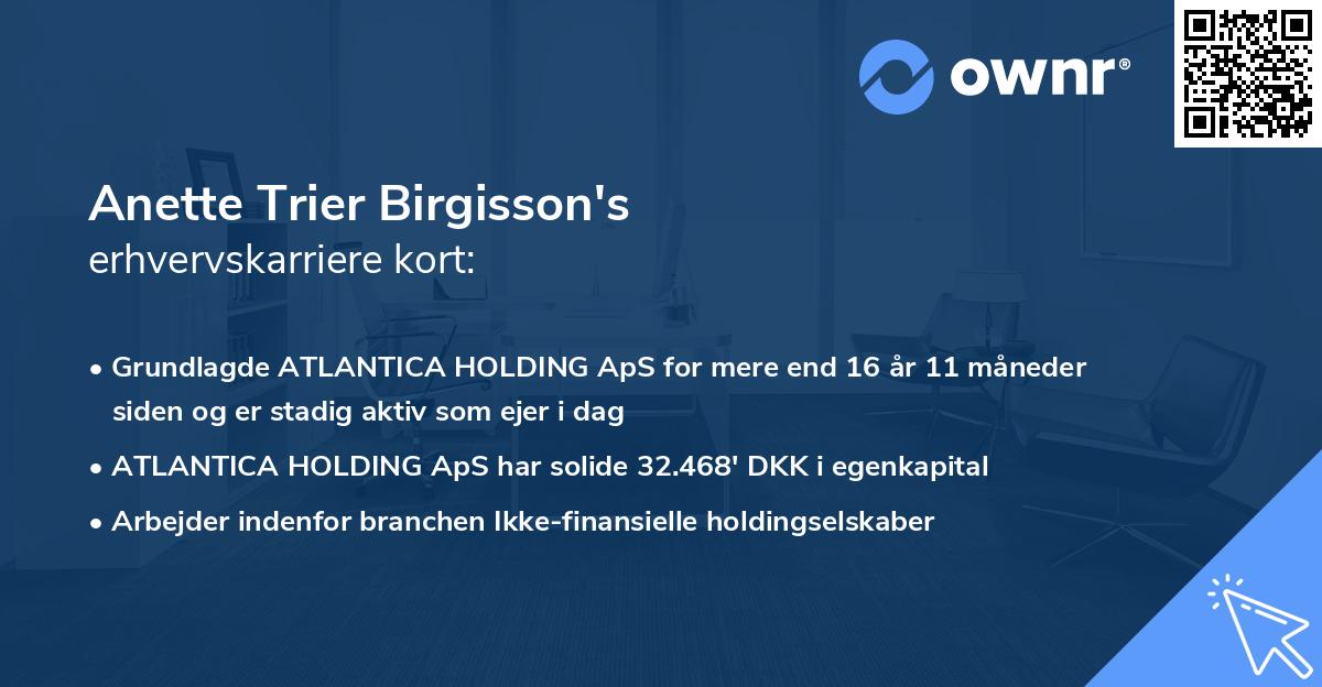 Anette Trier Birgisson's erhvervskarriere kort