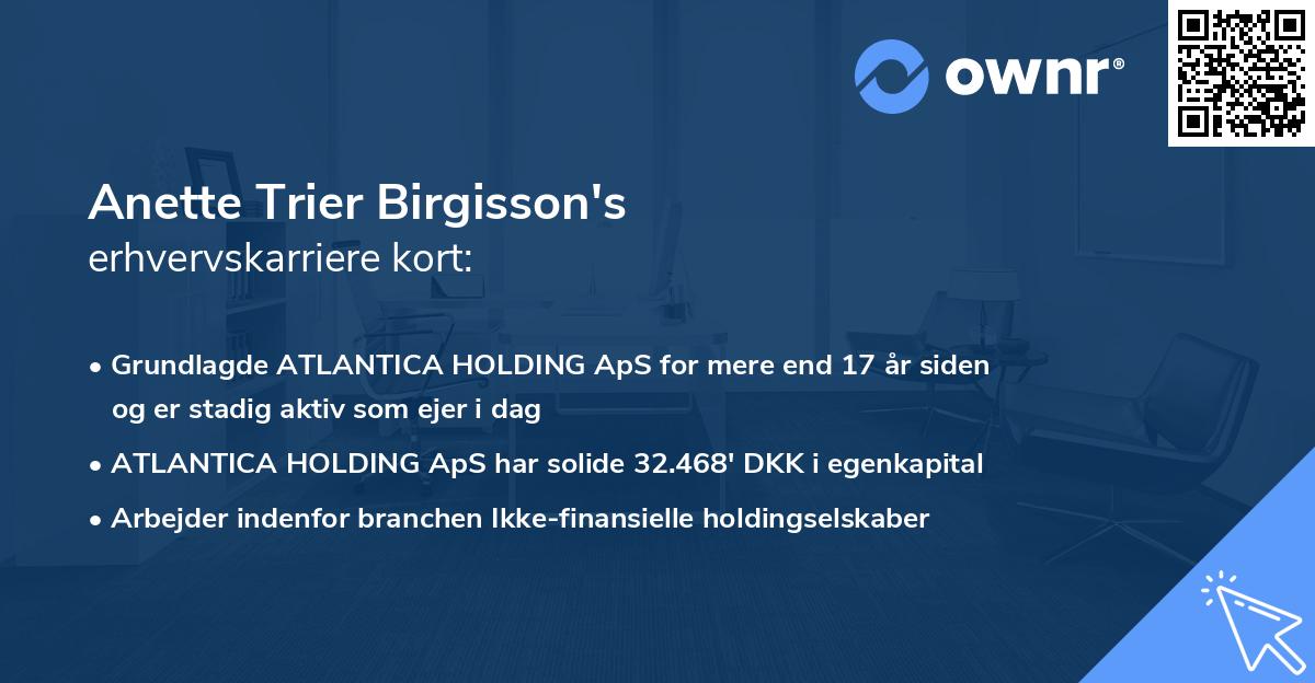 Anette Trier Birgisson's erhvervskarriere kort