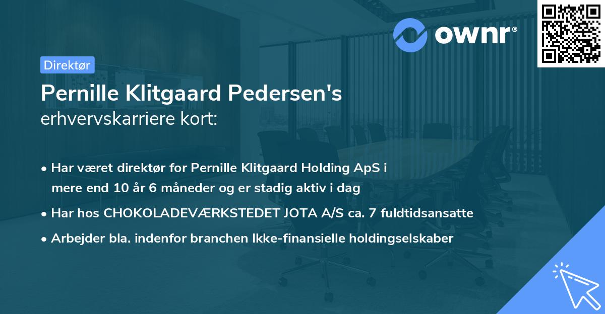 Pernille Klitgaard Pedersen's erhvervskarriere kort