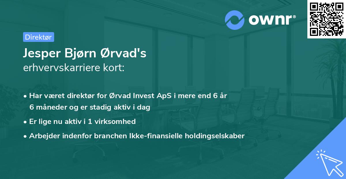 Jesper Bjørn Ørvad's erhvervskarriere kort