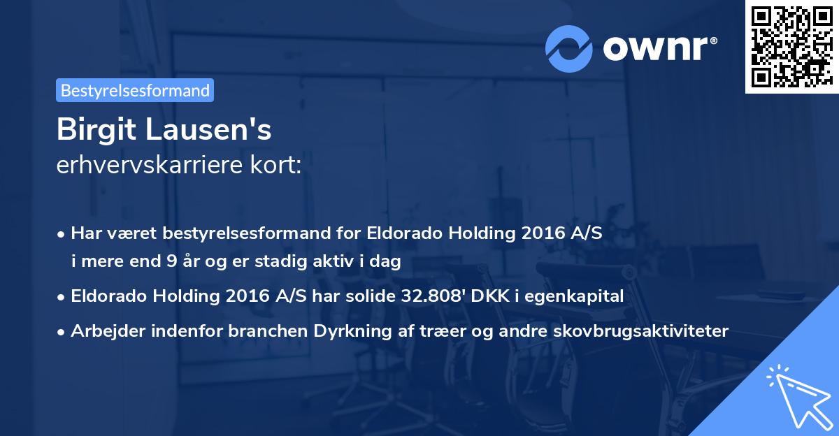 Birgit Lausen's erhvervskarriere kort