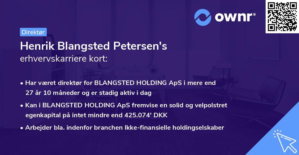 Henrik Blangsted Petersen's erhvervskarriere kort