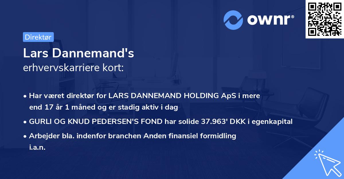 Lars Dannemand's erhvervskarriere kort
