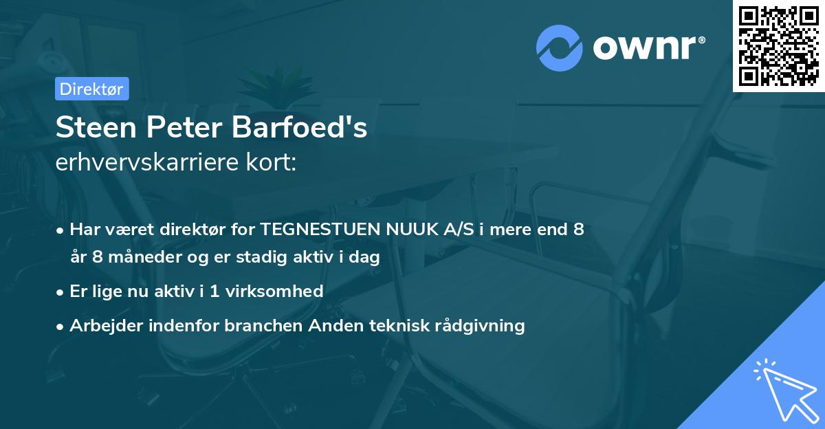 Steen Peter Barfoed's erhvervskarriere kort
