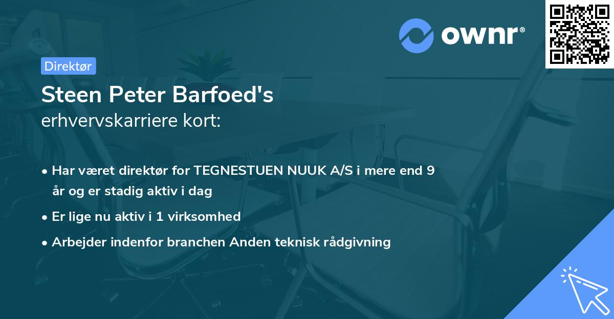 Steen Peter Barfoed's erhvervskarriere kort