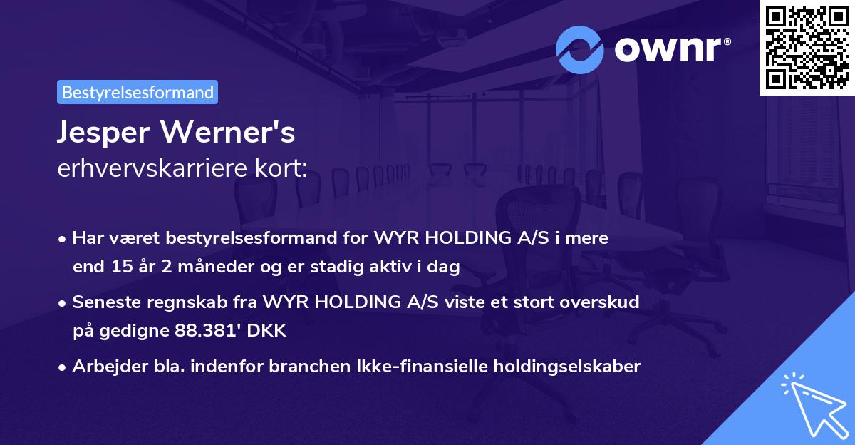 Jesper Werner's erhvervskarriere kort
