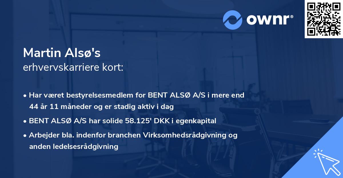 Martin Alsø's erhvervskarriere kort