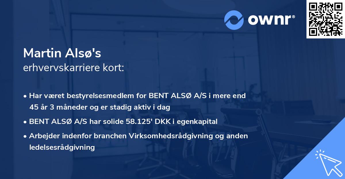 Martin Alsø's erhvervskarriere kort