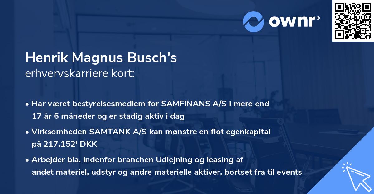 Henrik Magnus Busch's erhvervskarriere kort