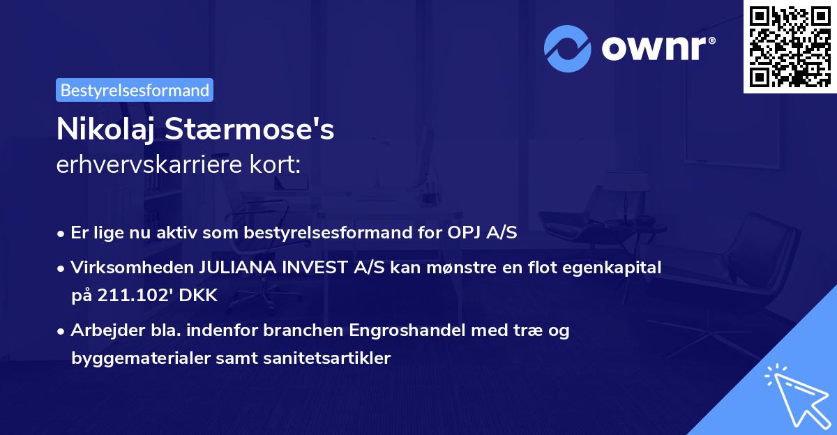 Nikolaj Stærmose's erhvervskarriere kort