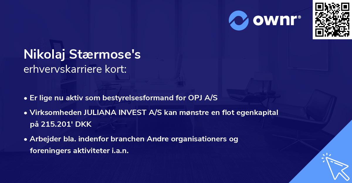 Nikolaj Stærmose's erhvervskarriere kort