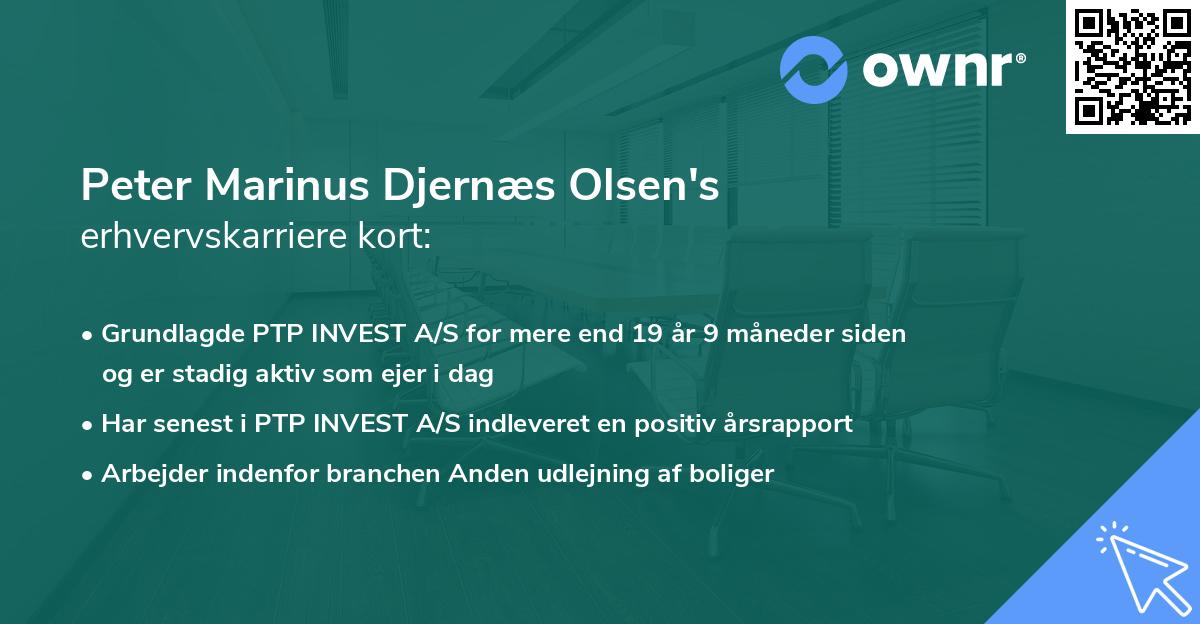 Peter Marinus Djernæs Olsen's erhvervskarriere kort