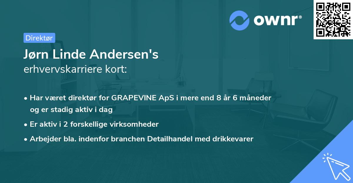 Jørn Linde Andersen's erhvervskarriere kort