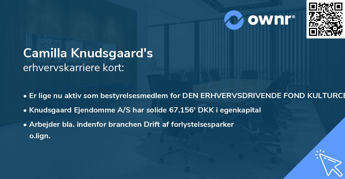 Camilla Knudsgaard's erhvervskarriere kort