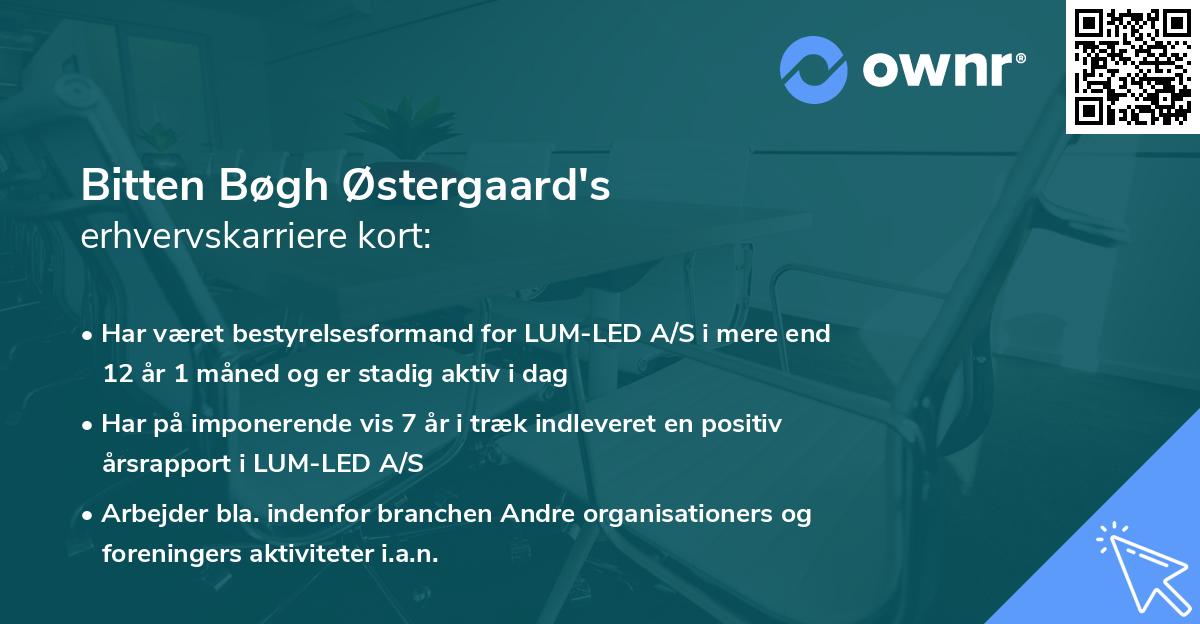 Bitten Bøgh Østergaard's erhvervskarriere kort