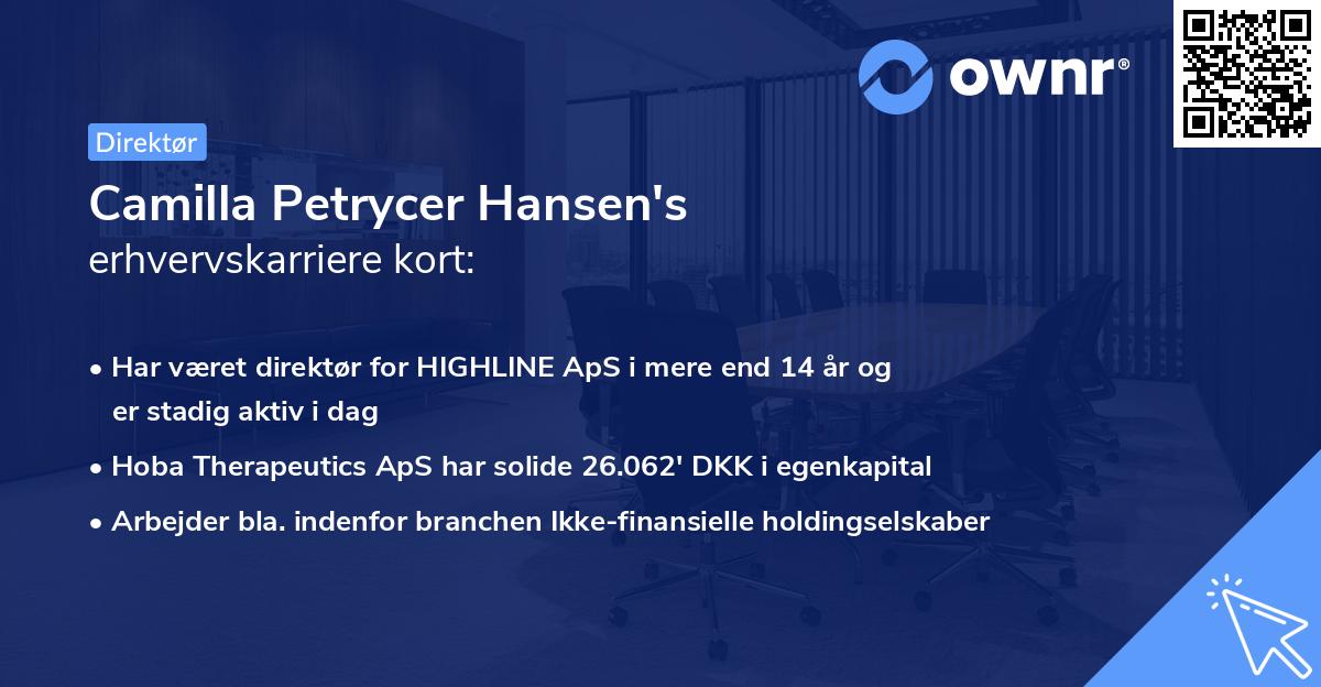 Camilla Petrycer Hansen's erhvervskarriere kort