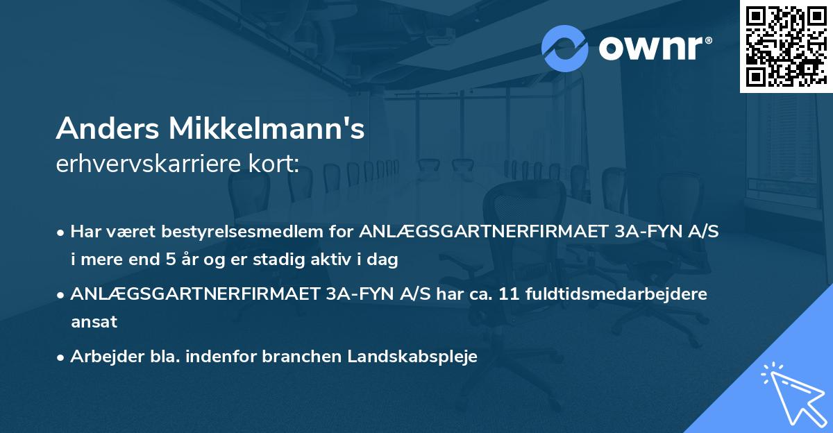 Anders Mikkelmann's erhvervskarriere kort