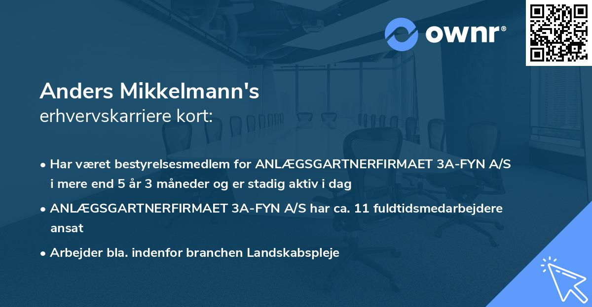 Anders Mikkelmann's erhvervskarriere kort