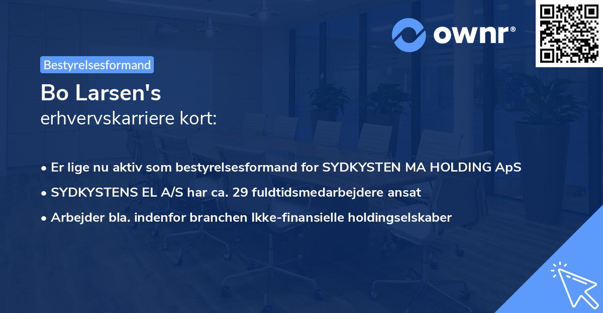Bo Larsen's erhvervskarriere kort