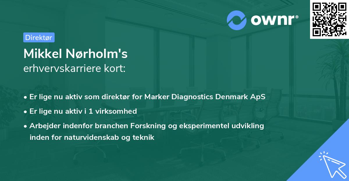 Mikkel Nørholm's erhvervskarriere kort