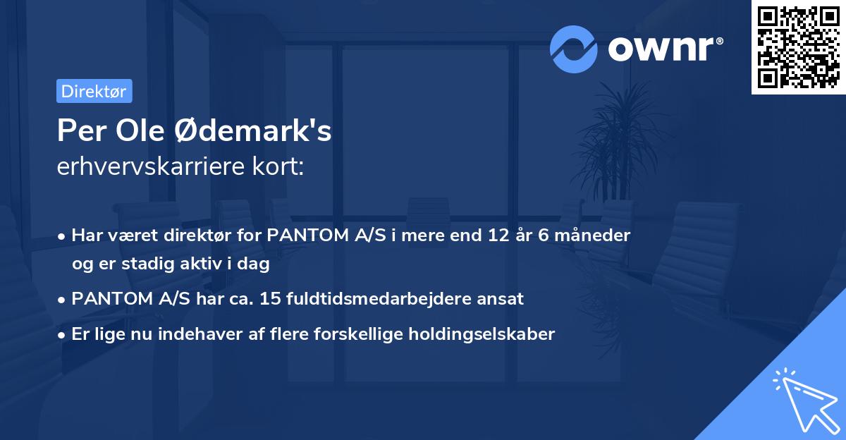 Per Ole Ødemark's erhvervskarriere kort