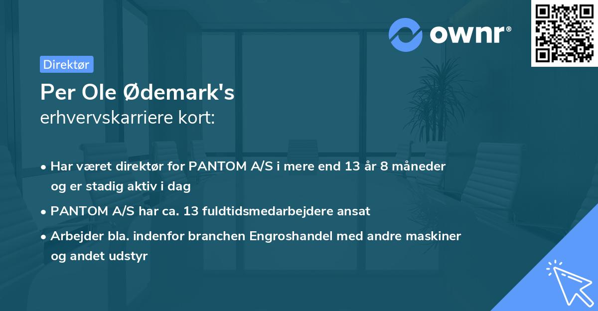 Per Ole Ødemark's erhvervskarriere kort