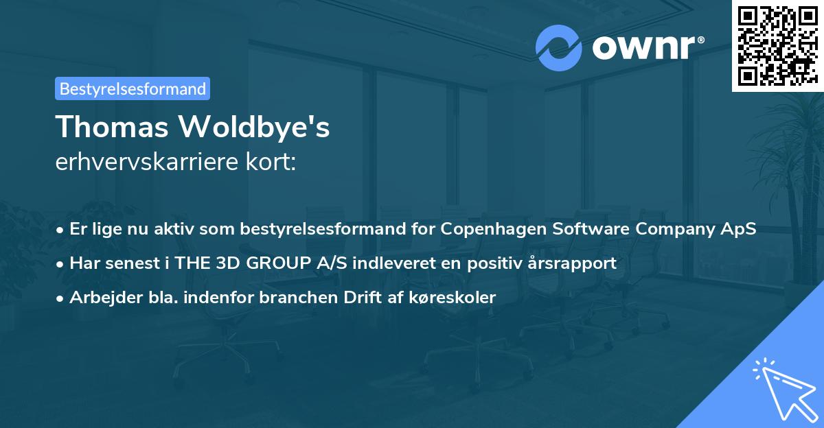 Thomas Woldbye's erhvervskarriere kort