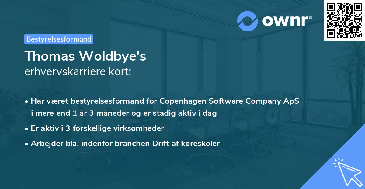 Thomas Woldbye's erhvervskarriere kort