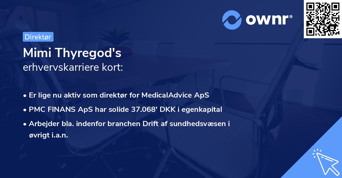 Mimi Thyregod's erhvervskarriere kort