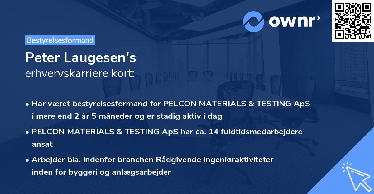 Peter Laugesen's erhvervskarriere kort