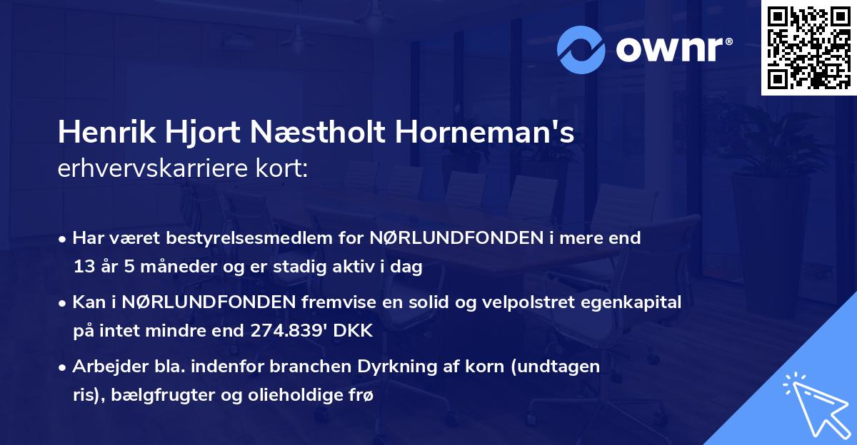 Henrik Hjort Næstholt Horneman's erhvervskarriere kort