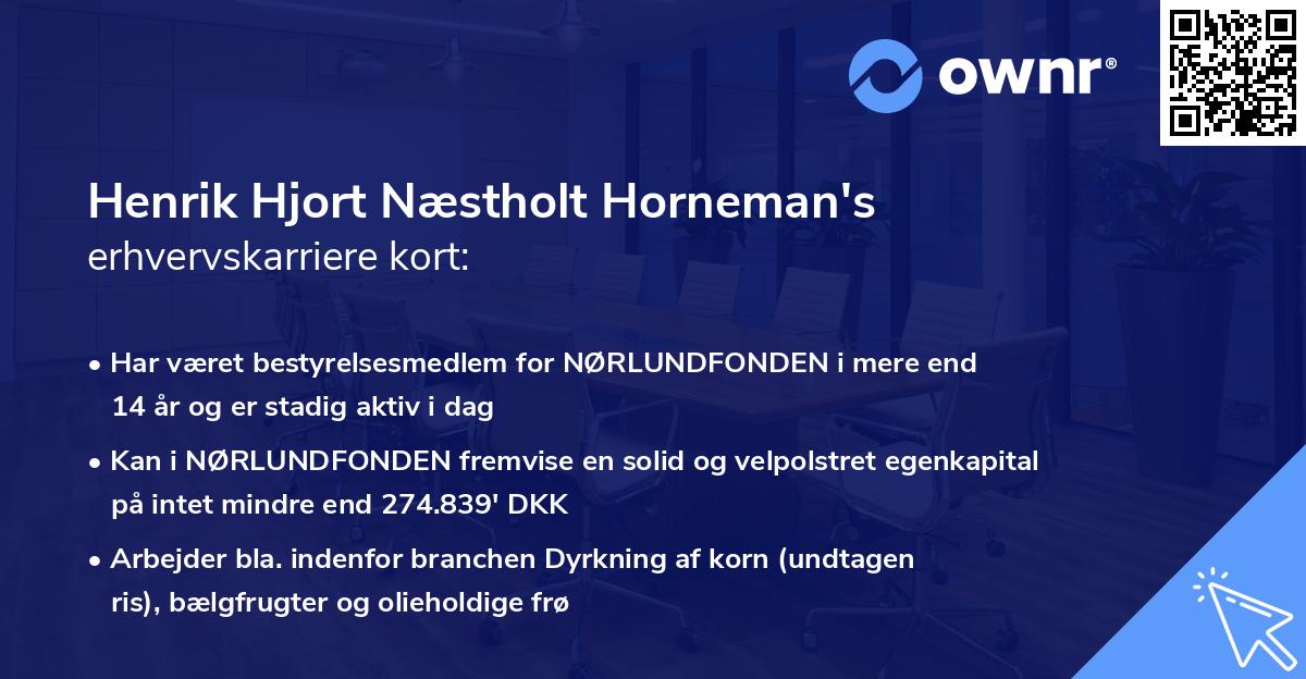 Henrik Hjort Næstholt Horneman's erhvervskarriere kort