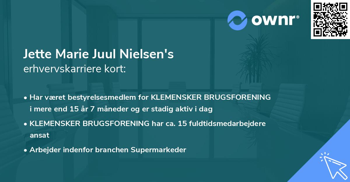 Jette Marie Juul Nielsen's erhvervskarriere kort