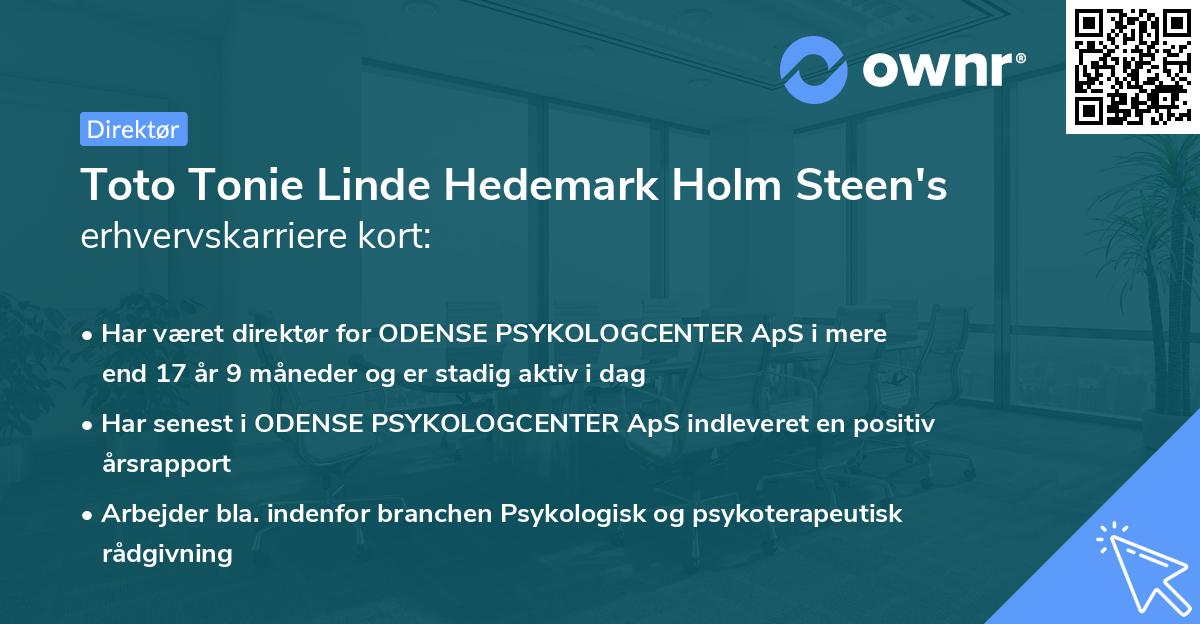 Toto Tonie Linde Hedemark Holm Steen's erhvervskarriere kort