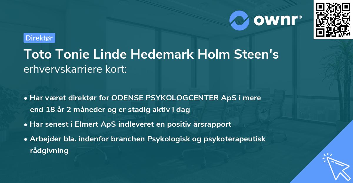 Toto Tonie Linde Hedemark Holm Steen's erhvervskarriere kort