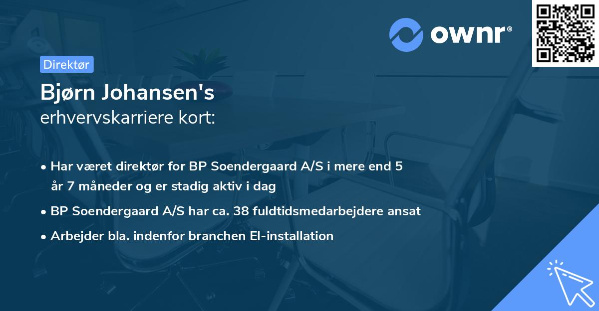 Bjørn Johansen's erhvervskarriere kort